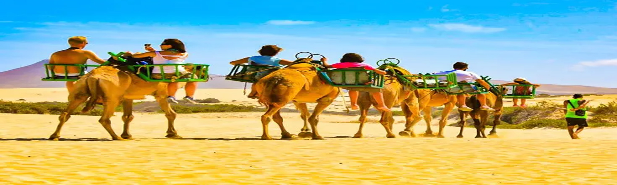 Camel Safari Tours Packages in India