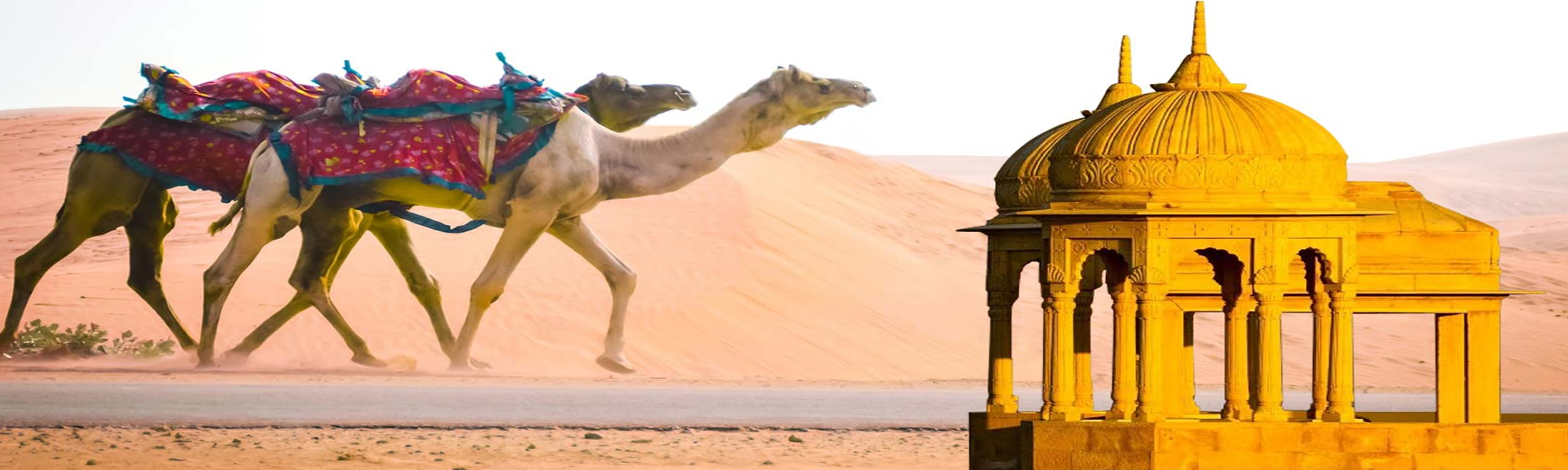 Desert Festival Tours Packages in Rajasthan