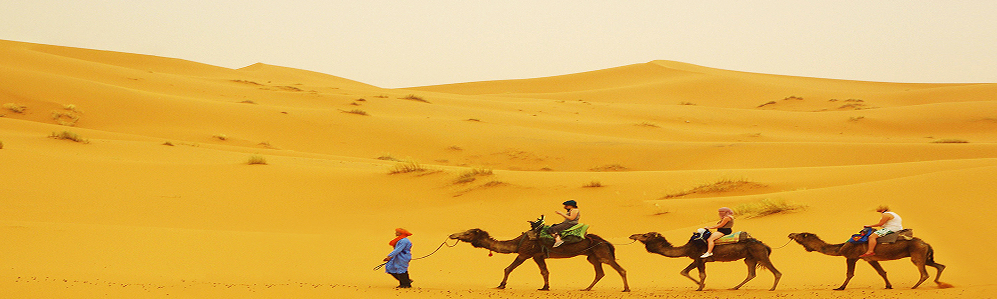Camel Safari Budget Tours in India 