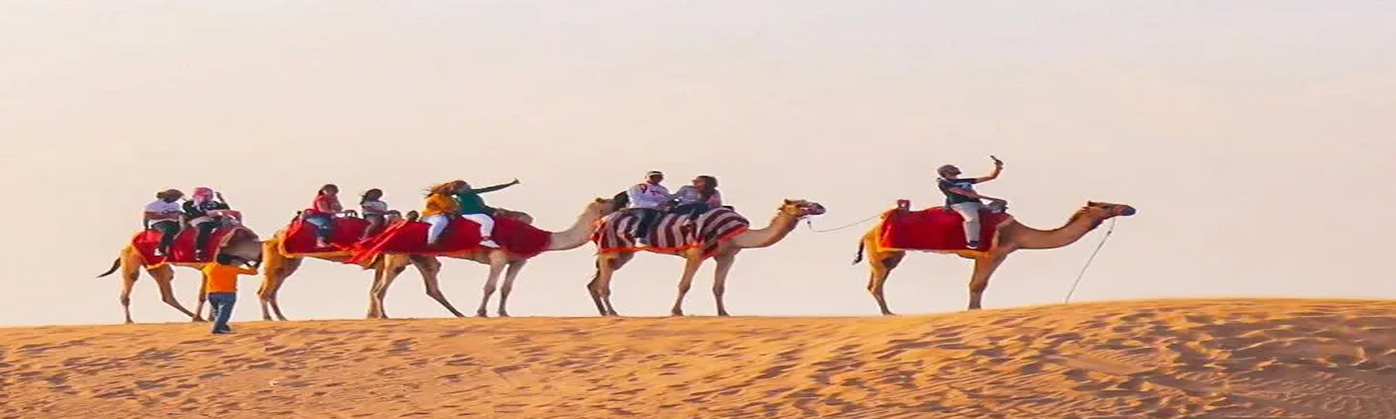 Camel Safari Budget Tours in Rajasthan 