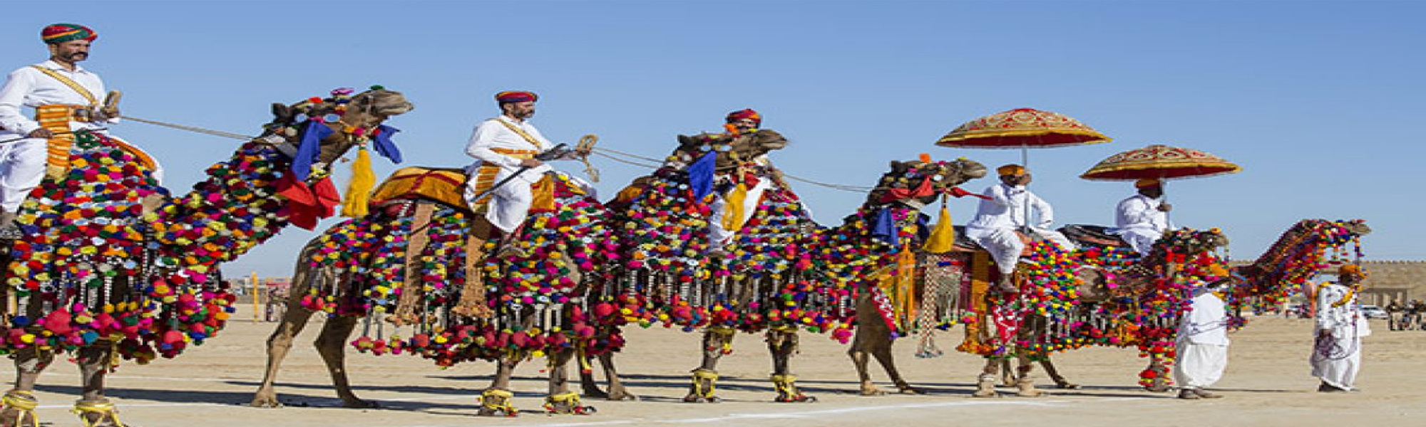 Desert Festival Budget Tours in Rajasthan