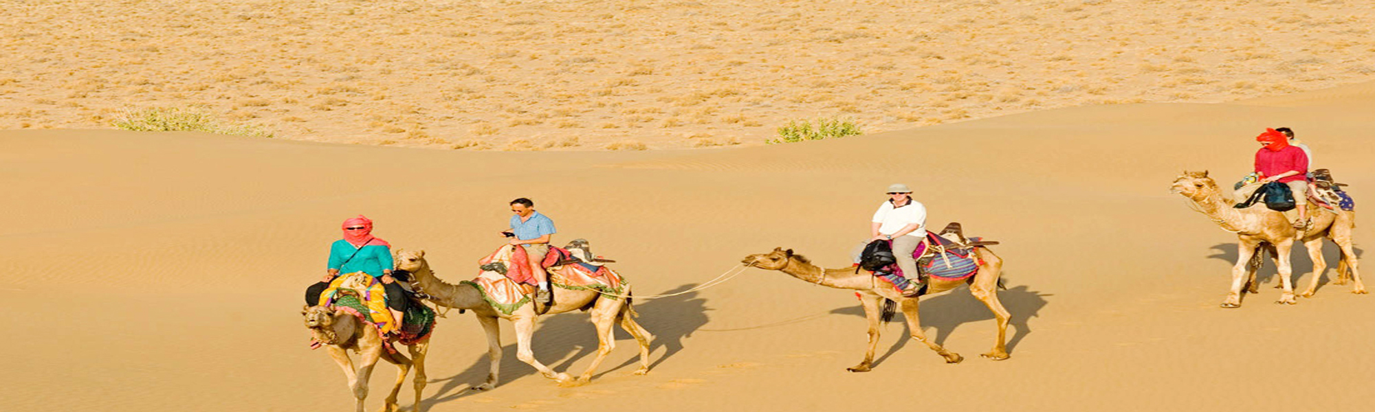 Desert Festival Tour in India with Camel Safari Tour in India
