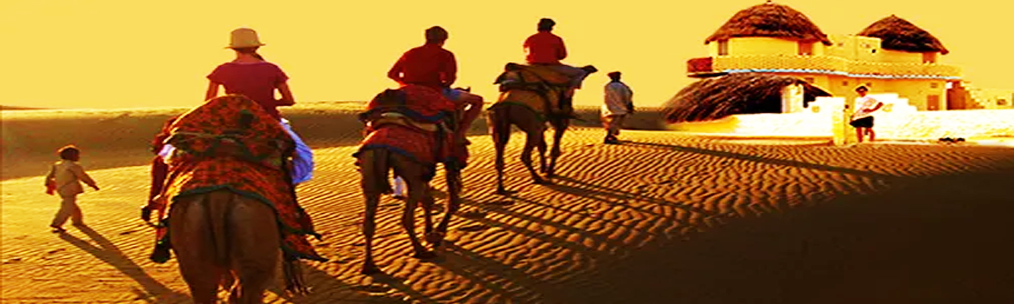 Camel Safari Budget Tours in India 