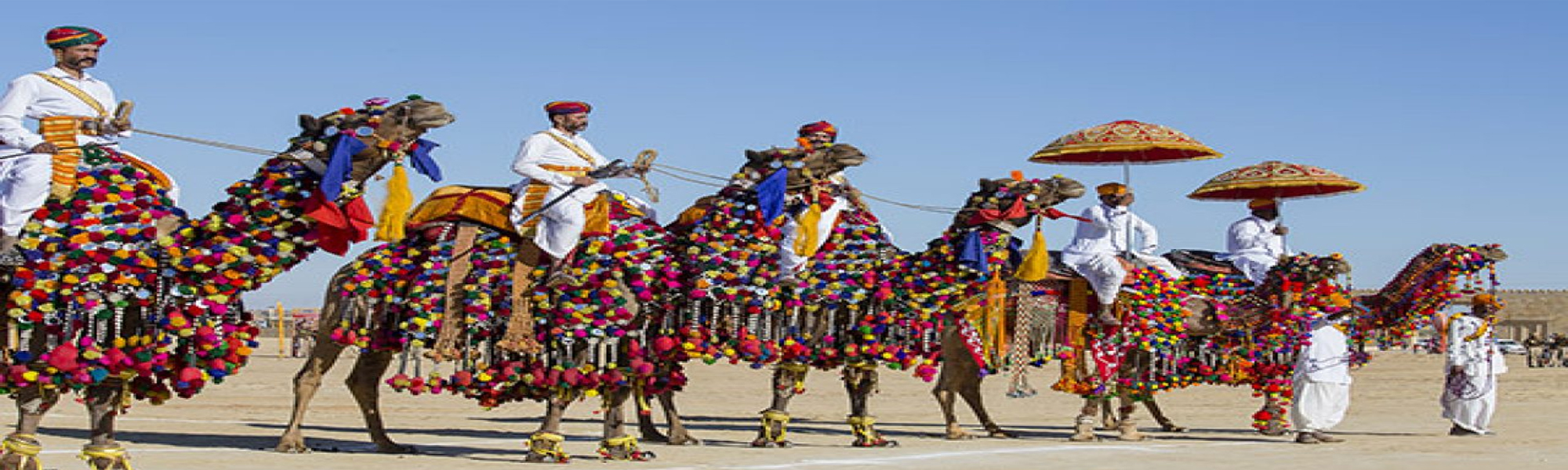 Camel Safari Tours in India with Desert Festival Tours in India  