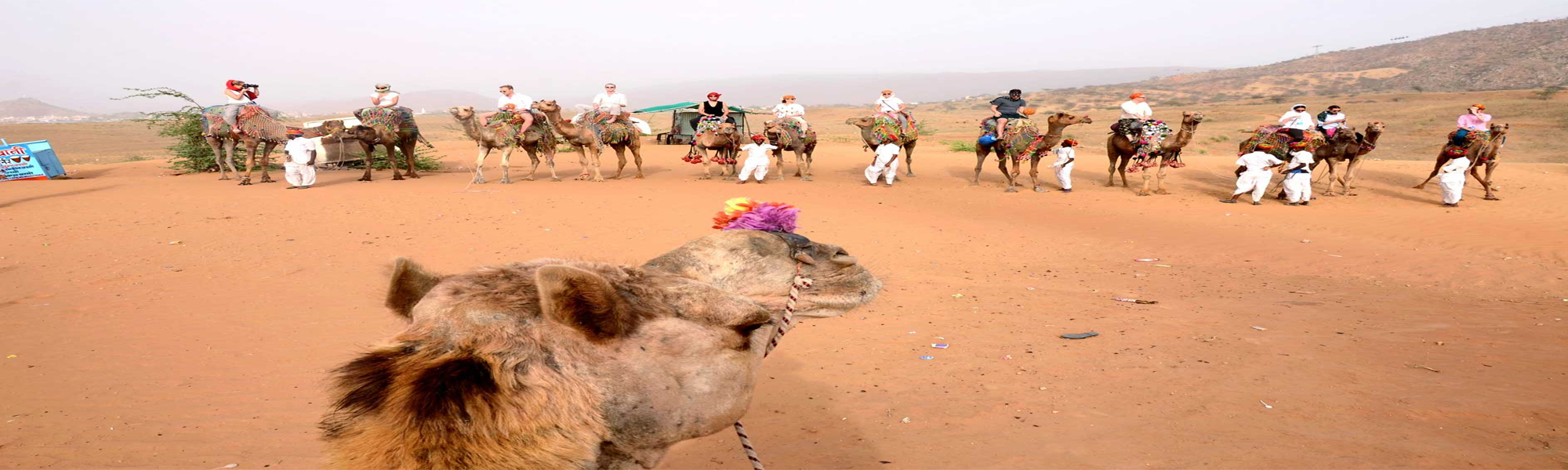 Camel Safari Tours in India with Fort and Palaces Tours in India  