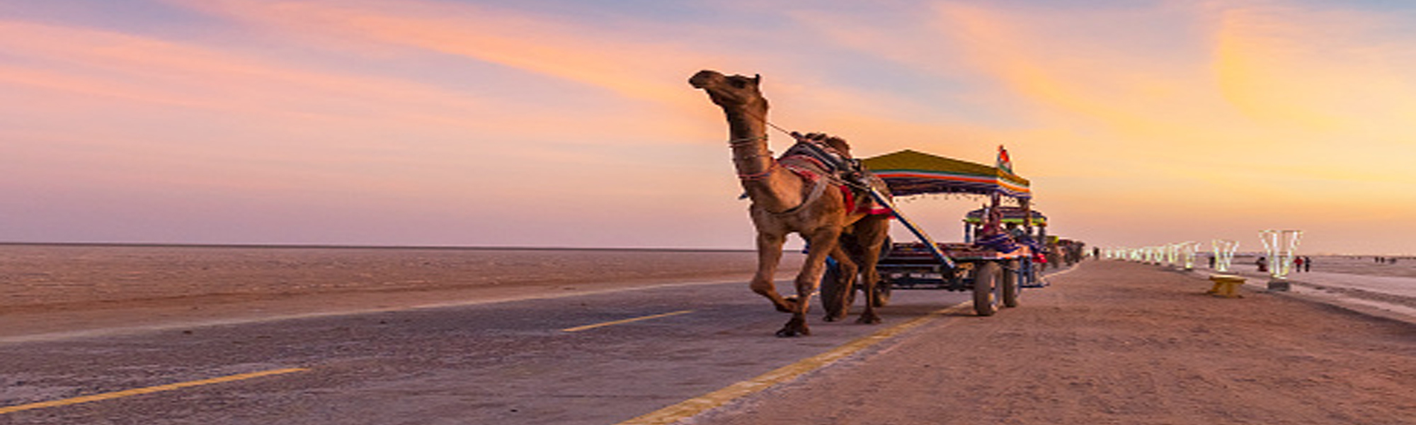 Camel Safari Tours in India with Goa Tours in India