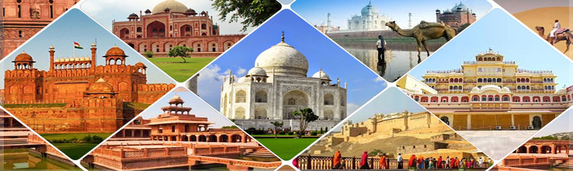 Camel Safari Tours in India with Golden Triangle Tours in India