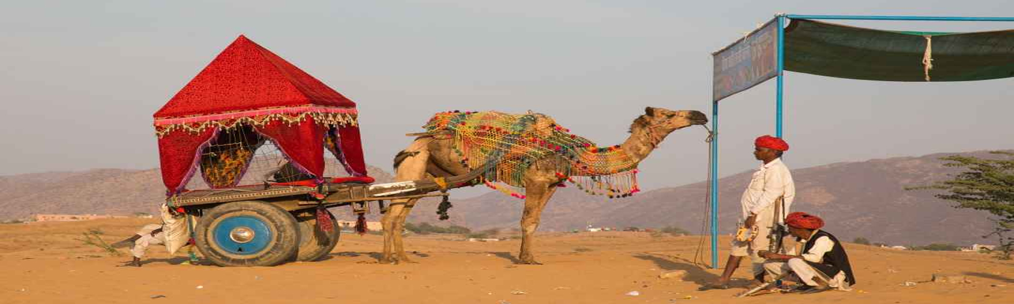 Camel Safari Tours in India with Heritage Tours in India