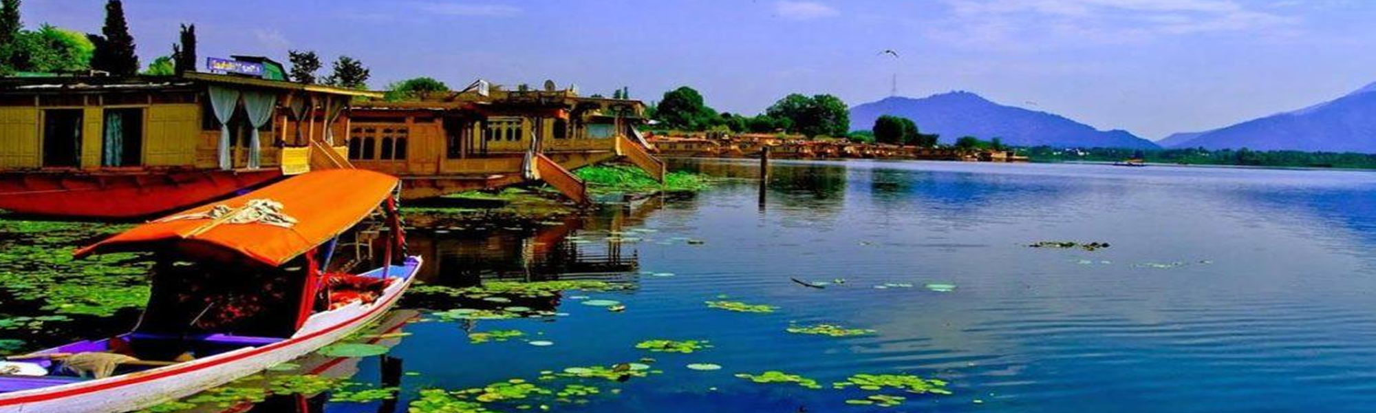 Camel Safari Tours in India with Honeymoon Tours in India and Jammu and Kashmir Tours in India