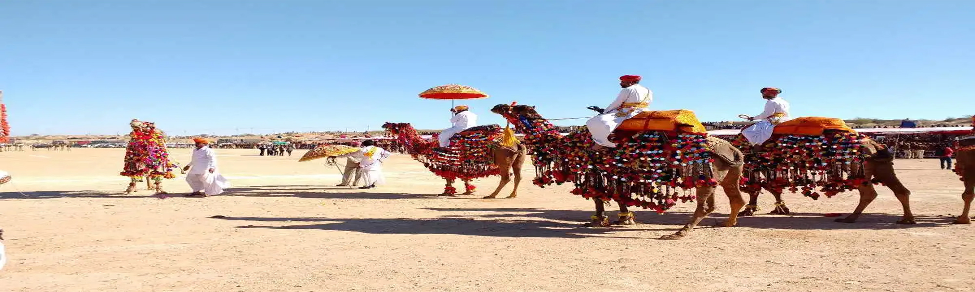 Camel Safari Tours in India with Pushkar Fair Tours in India
