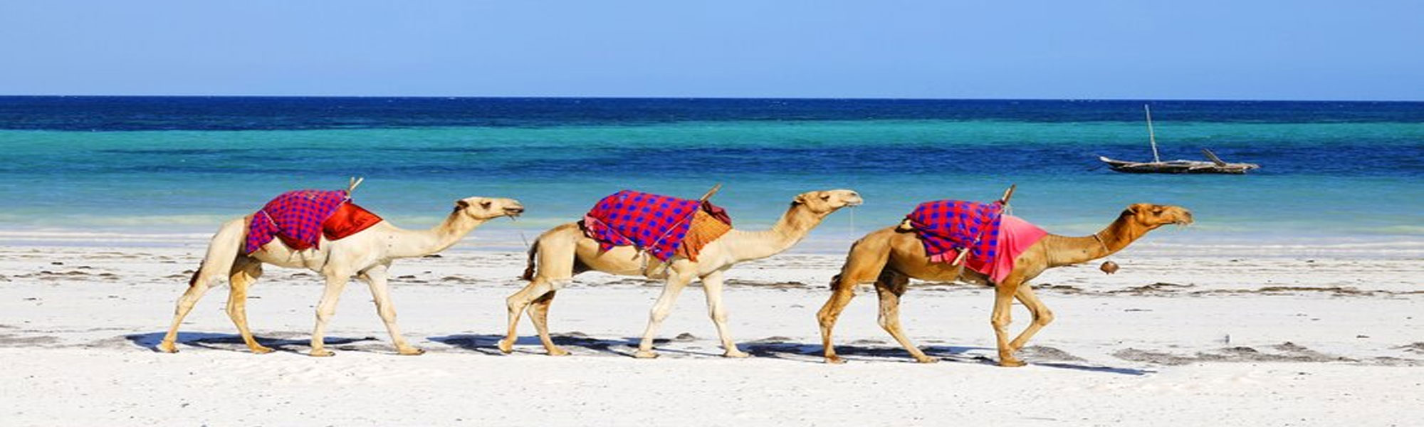 Goa Tours in India with Camel Safari Tours in Rajasthan