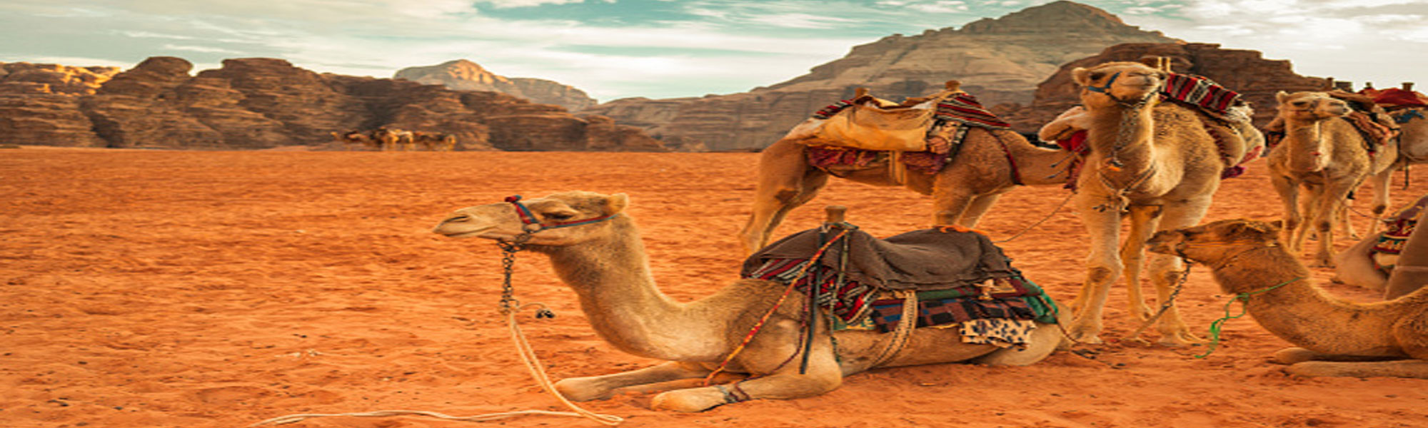 Golden Triangle Tours in India with Camel Safari Tours in Rajasthan
