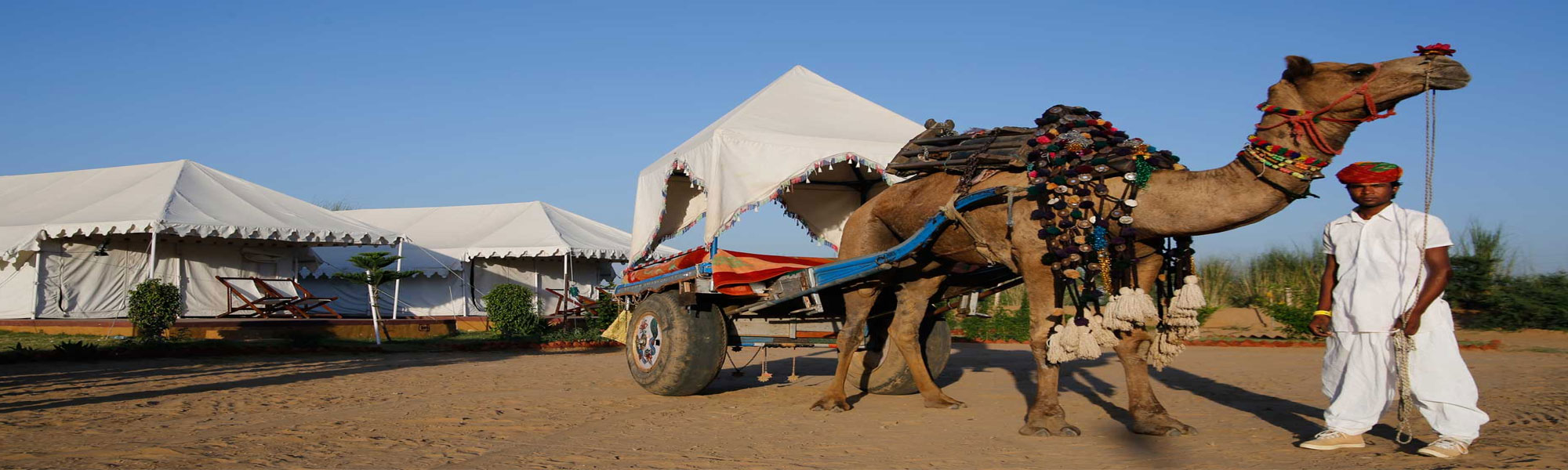 Heritage Tours in India with Camel Safari Tours in India