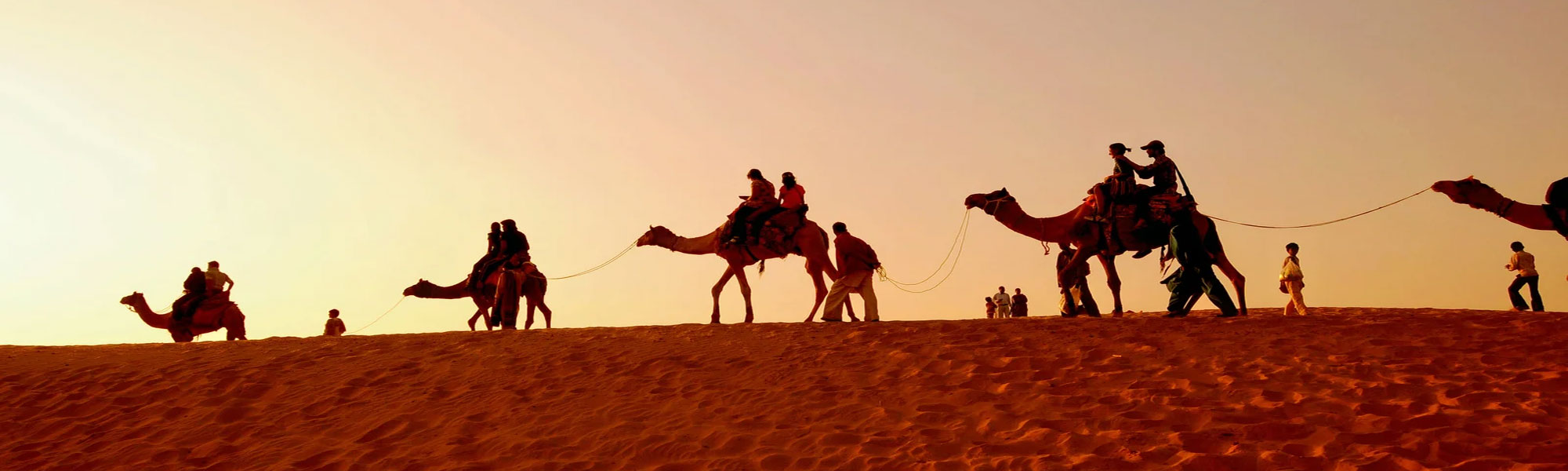 Himpushp Tours in India with Camel Safari Tours in India