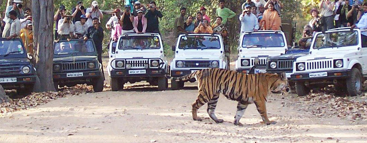 Desert Triangle Tours in India with Wildlife Tours in Rajasthan