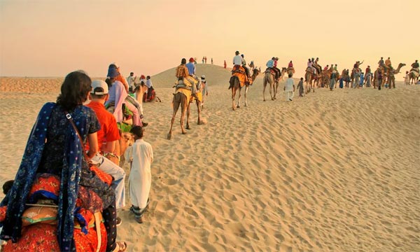 Fort and Palaces Tours in India with Camel Safari Tours in India  