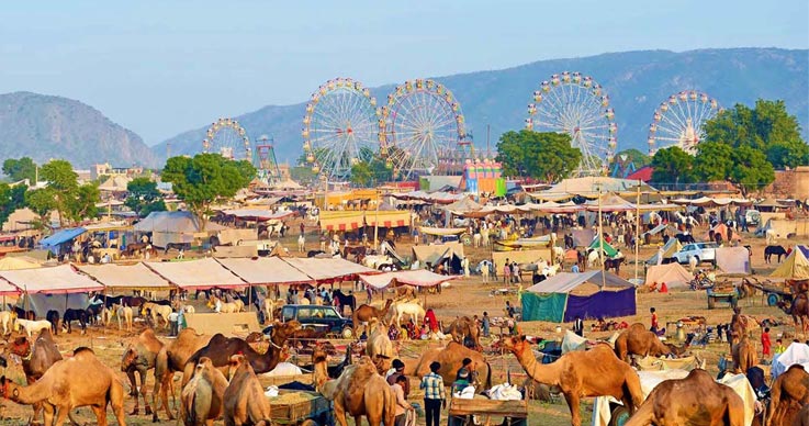 Honeymoon Tours in India with Jammu and Kashmir Tours in India and Pushkar Fair Tours in Rajasthan 
