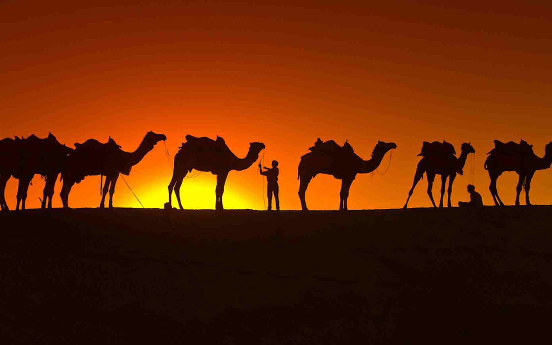 Golden Triangle Tours in Rajasthan 