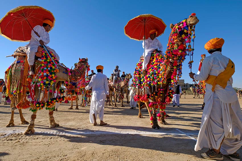 Golden Triangle Tours in Rajasthan with Desert Festival Tours in Rajasthan 